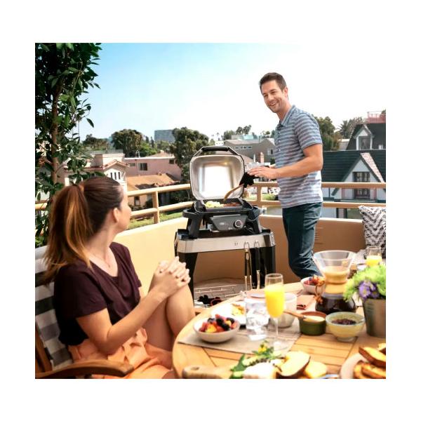 ウェーバー Pulse 1000 電気グリル スターターキット WEBER