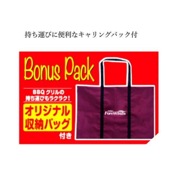 IWATANI イワタニ フラットツイングリル テーブルトップBBQグリル CB-TBG-2