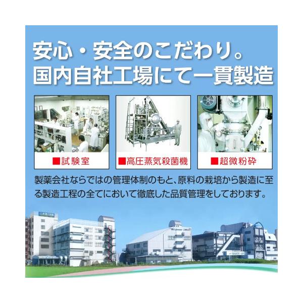 オーガニック 青汁 3g x 156包入 <山本漢方製薬> 国産 無添加 100%