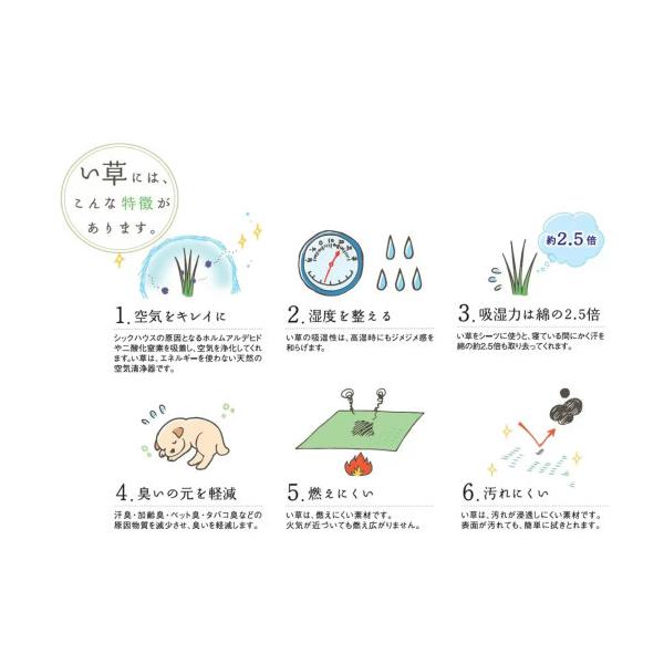 国産い草100% ユニット畳 あぐら 置き畳 9枚セット