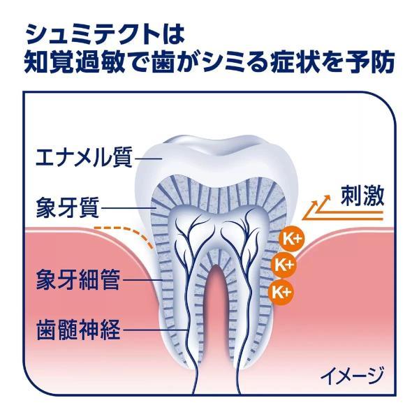 【4個】シュミテクト コンプリートワンEX 90g×4