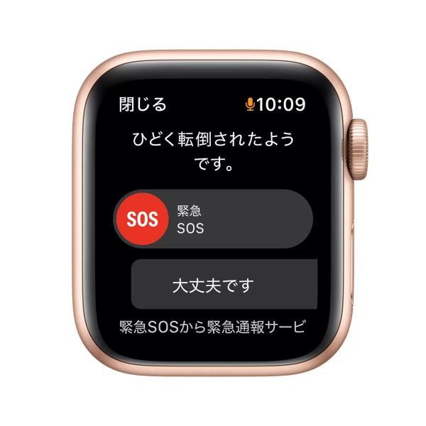Apple Watch SE GPS 40mm ゴールドアルミニウムケース スターライトスポーツバンド 色:スターライト