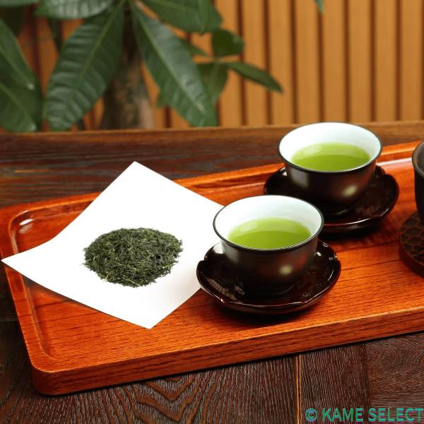 古賀製茶 九州産煎茶 600g 煎茶 日本茶 緑茶 お茶 大容量