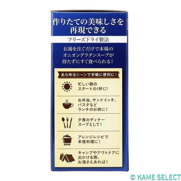 ピルボックス オニオングラタンスープ 10食