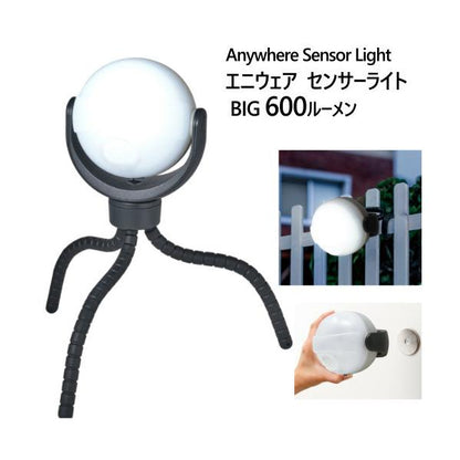 エニウェアセンサーライト BIG 600ルーメン