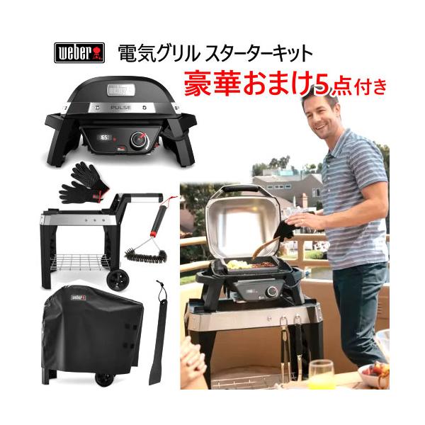 ウェーバー Pulse 1000 電気グリル スターターキット WEBER