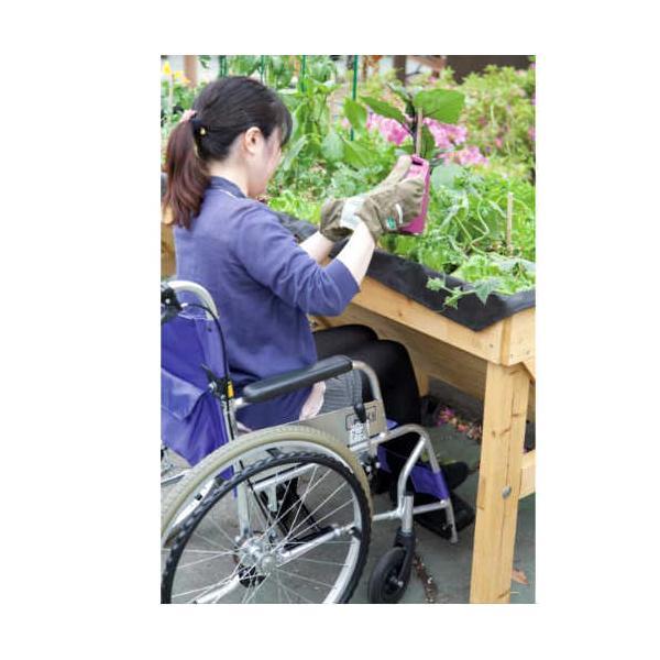 ベジトラグ S VEG TRUG S
