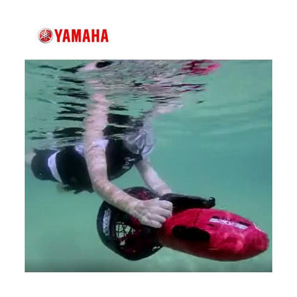 YAMAHA RDS200 シースクーター