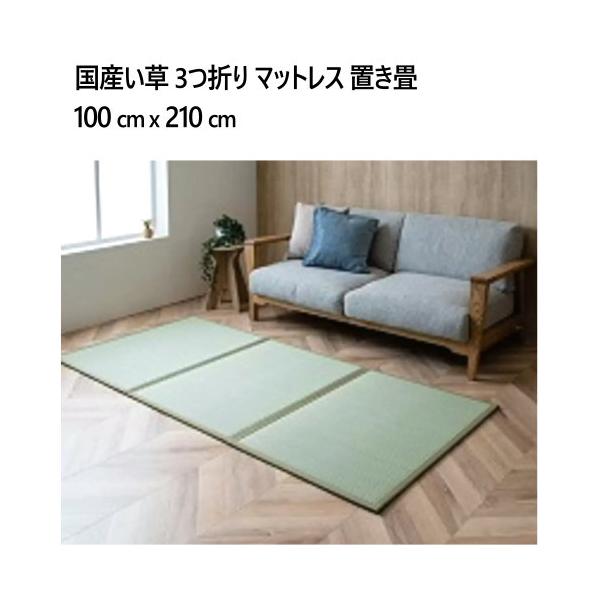 国産い草 3つ折り マットレス 置き畳 100 cm x 210 cm
