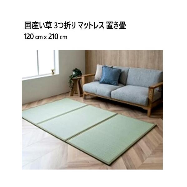 国産い草 3つ折り マットレス 置き畳 120 cm x 210 cm