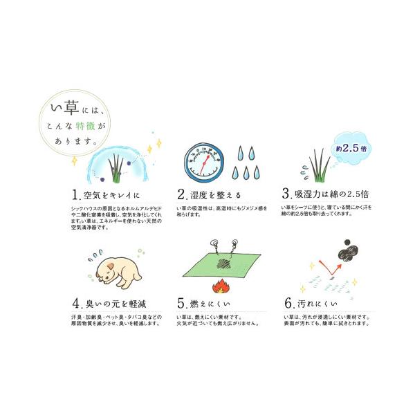国産い草 3つ折り マットレス 置き畳 140 cm x 210 cm