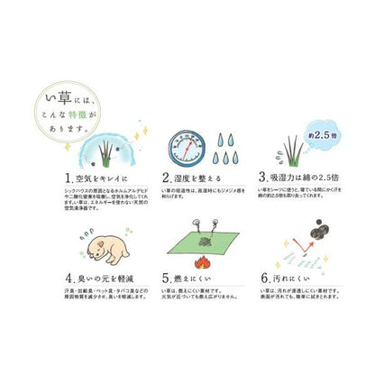 国産い草100％ ユニット畳 あぐら 置き畳 6枚セット