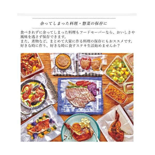 フードセーバー スターターキット V4880-040/F111396M1 FOODSAVER