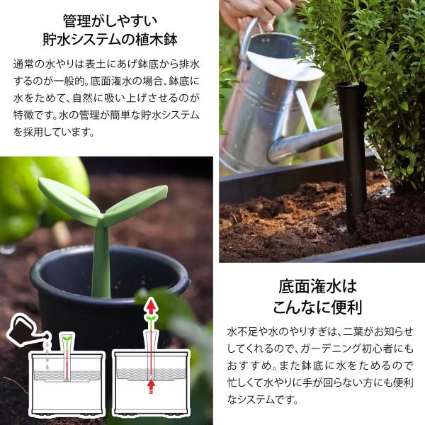 KETER　ケター セコア プランター Mサイズ