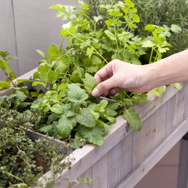 ベジトラグ ハーブ プランター スリム　VEGTRUG HERB PLANTER SLIM