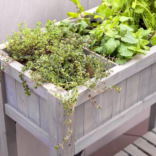 ベジトラグ ハーブ プランター グレイウッド VEG TRUG HERB PLANTER - GRAY WOOD　色：グレイウッド