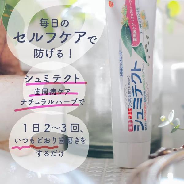 シュミテクト 歯周病ケア ナチュラルハーブ 90g ×5個