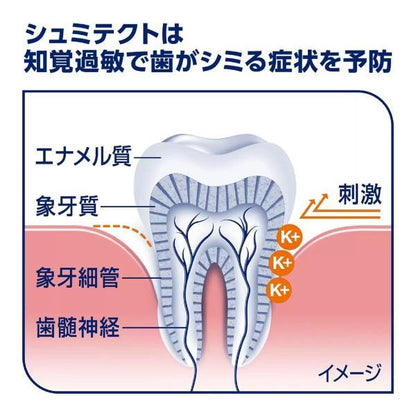 【4個】シュミテクト コンプリートワンEX 90g×4