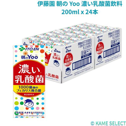 伊藤園 朝の Yoo 濃い乳酸菌飲料 200ml x 24本