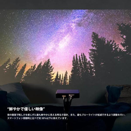 ネクストレージ 120インチ プロジェクター NMP-NX1 超小型 軽量 高品質 小型プロジェクター