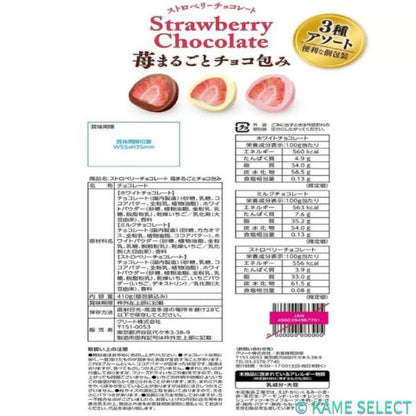 ストロベリーチョコレート アソート 410g