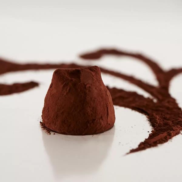 ショコモド フレンチココア トリュフ 2kg Chocmod French Truffles チョコレート