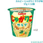 カルビー じゃがりこ サラダ味 57g × 12個
