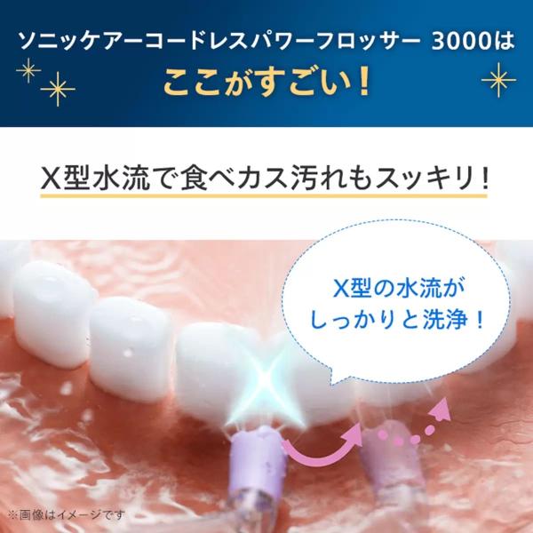 フィリップス コードレスパワーフロッサー3000 HX3806/34 PHILIPS