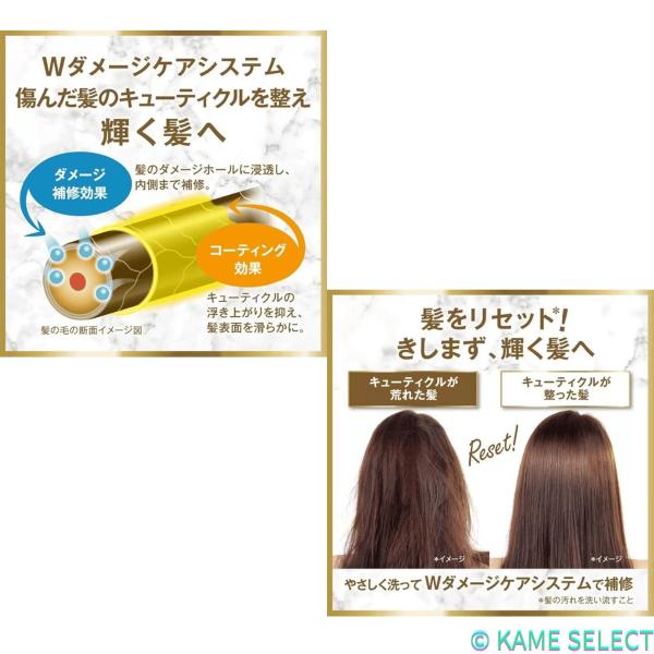 LUX (ラックス)  ルミニーク ボタニカルピュア シャンプー 詰替え用 2.2kg Lux トリートメント 詰替え用 2.2kg ダメージリペア 65568