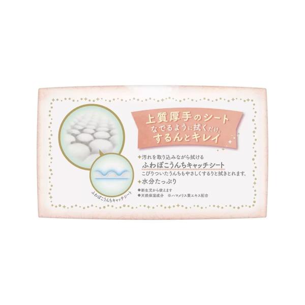メリーズ ファーストプレミアム　おしりふき 1296枚　Merries Baby Wipe