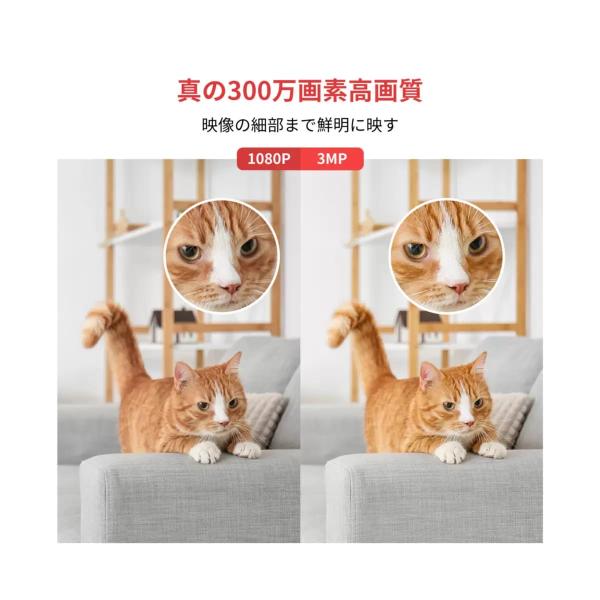 スイッチボット 見守りカメラ 3MP ２個セット W3101100