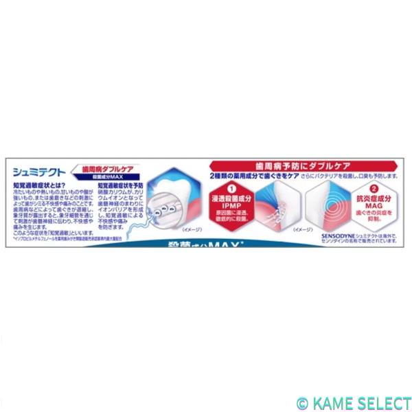 シュミテクト コンプリートワンEX 90ｇ 歯周病ダブルケア EX リフレッシュミント 90g  歯周病ダブルケア ダブルミント 90g