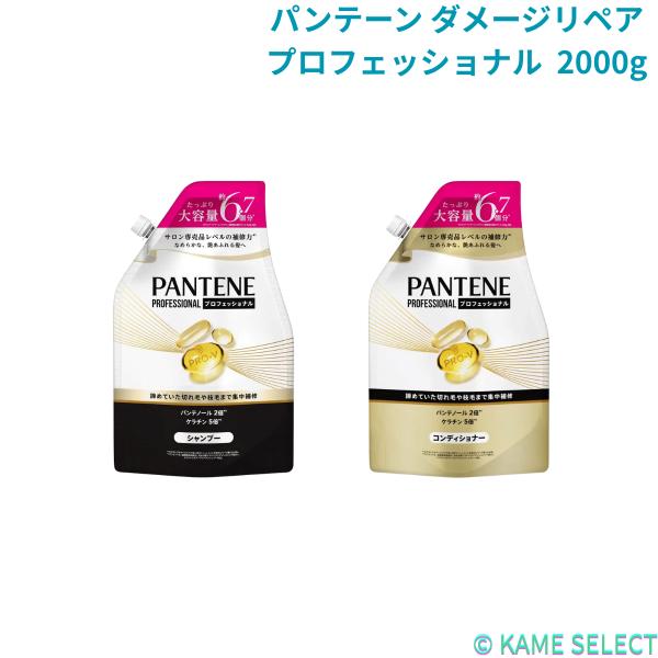 パンテーン ダメージリペア プロフェッショナル シャンプー 2000g コンディショナー 2000g 各種