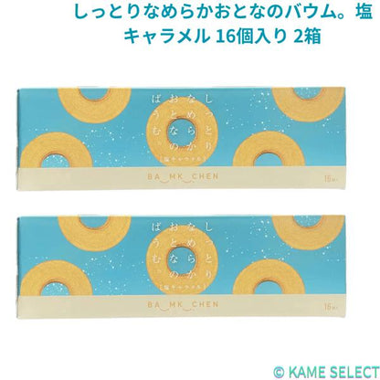 【2個セット】しっとりなめらかおとなのバウム。塩キャラメル 16個入り 2箱